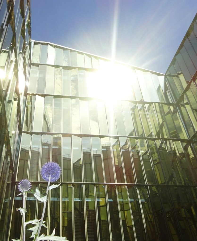 Фотомаршруты по центру Питера (1). Детский и семейный фотограф Афанасьева Ольга. Санкт-Петербург