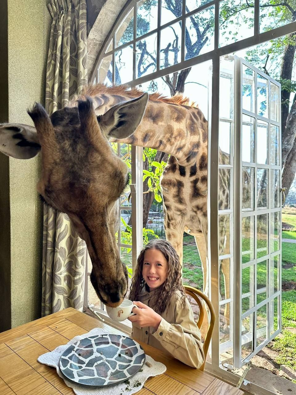Giraffe Manor, Кения от 2400 долл. Фотограф для маркетплейсов Михаил Бове