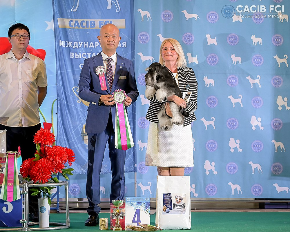 Питомник Делинсо Бэлэнс, щенки цвергшнауцера, купить щенка цвергшнауцера, питомник цвергшнауцеров, кобель цвергшнауцера для вязки, щенок цвергшнауцера, питомник цвергшнауцеров, черный с серебром, цверг, лучший питомник в беларуси