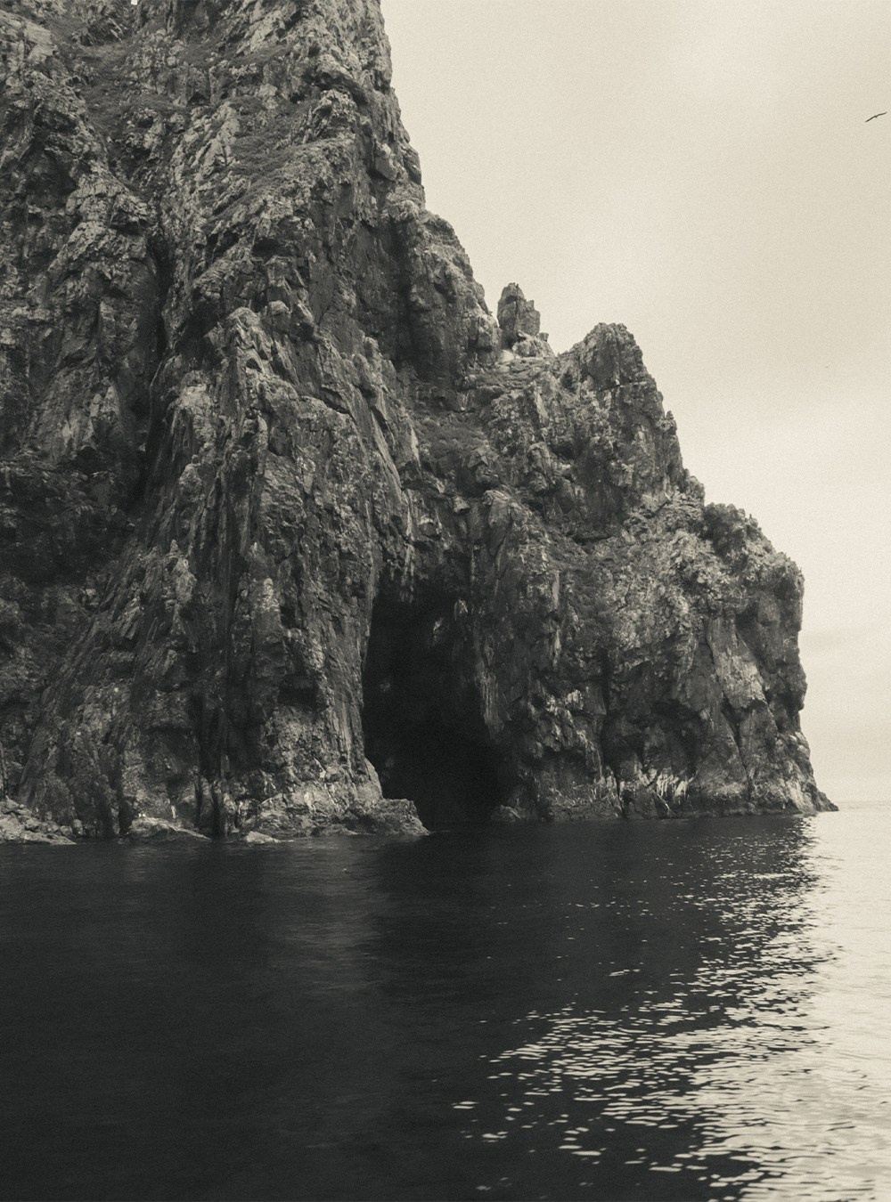 Монохромная и минималистичная фотография природы. Фотограф | Макс Коробкин