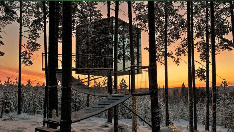 Treehotel, Швеция от 60 т.р. Фотограф для маркетплейсов Михаил Бове