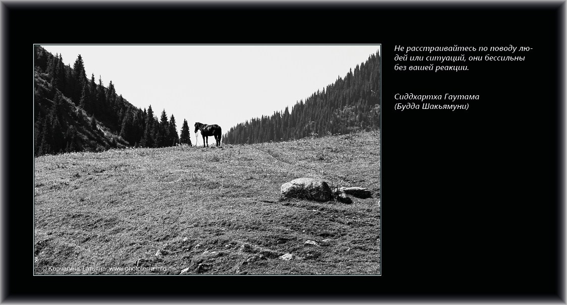 Совет дня — ориентир. Татьяна Корчагина. Фотограф, художник. Обучение фотографии