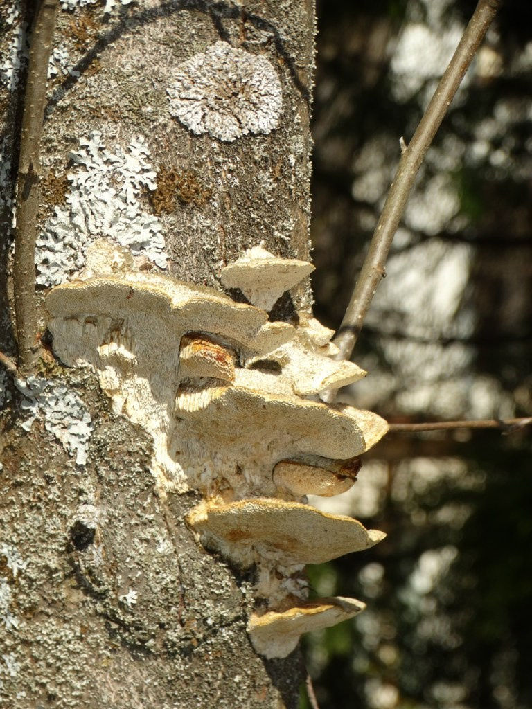 «Весенний переполох» Загородный выезд | 16-17.04.2016. Галерея Фантим