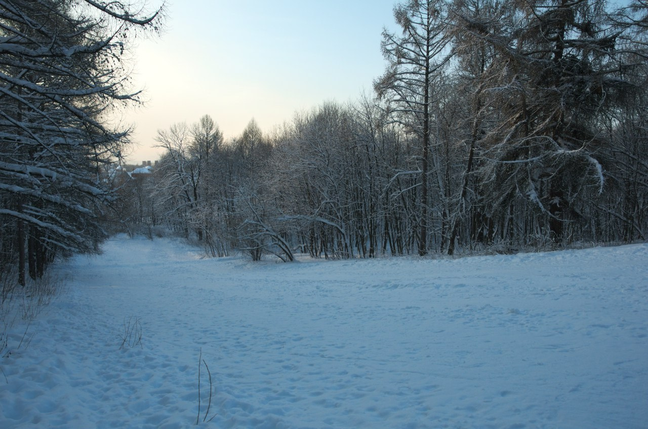 Быково и Гжель | 24.01.2016. Галерея Фантим
