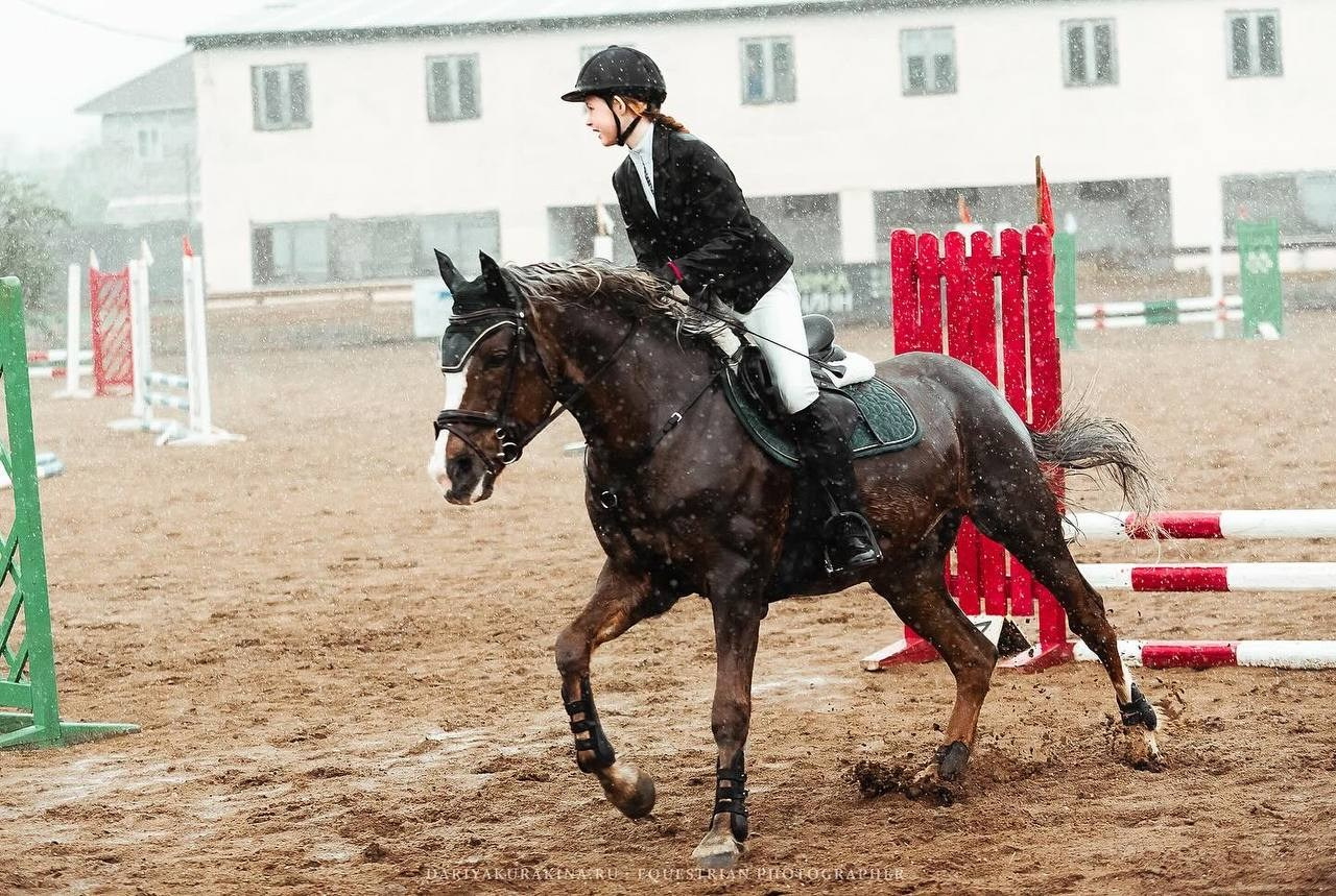 Весенний Кубок по конкуру КСК «Созвездие». Конный фотограф Куракина Дарья • Фотосессии с лошадьми