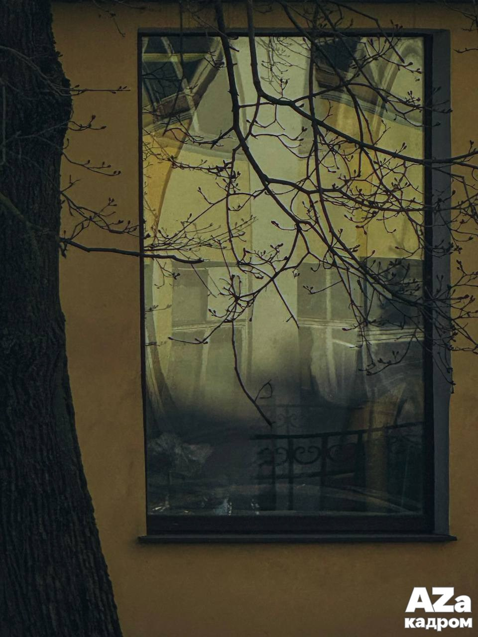 AZакадром «Отражения». Женский семейный фотограф Тула Москва Захарова Анна