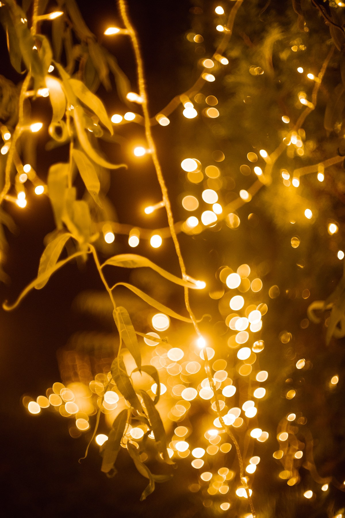 Алла и Андрей. Главная