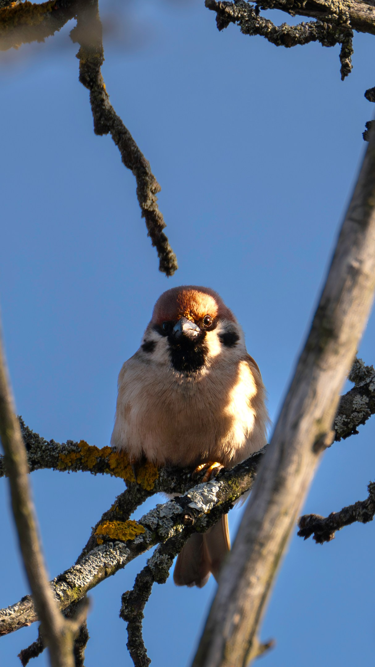 Живность разная. FM Media Сrew. Репортажные фото и видео