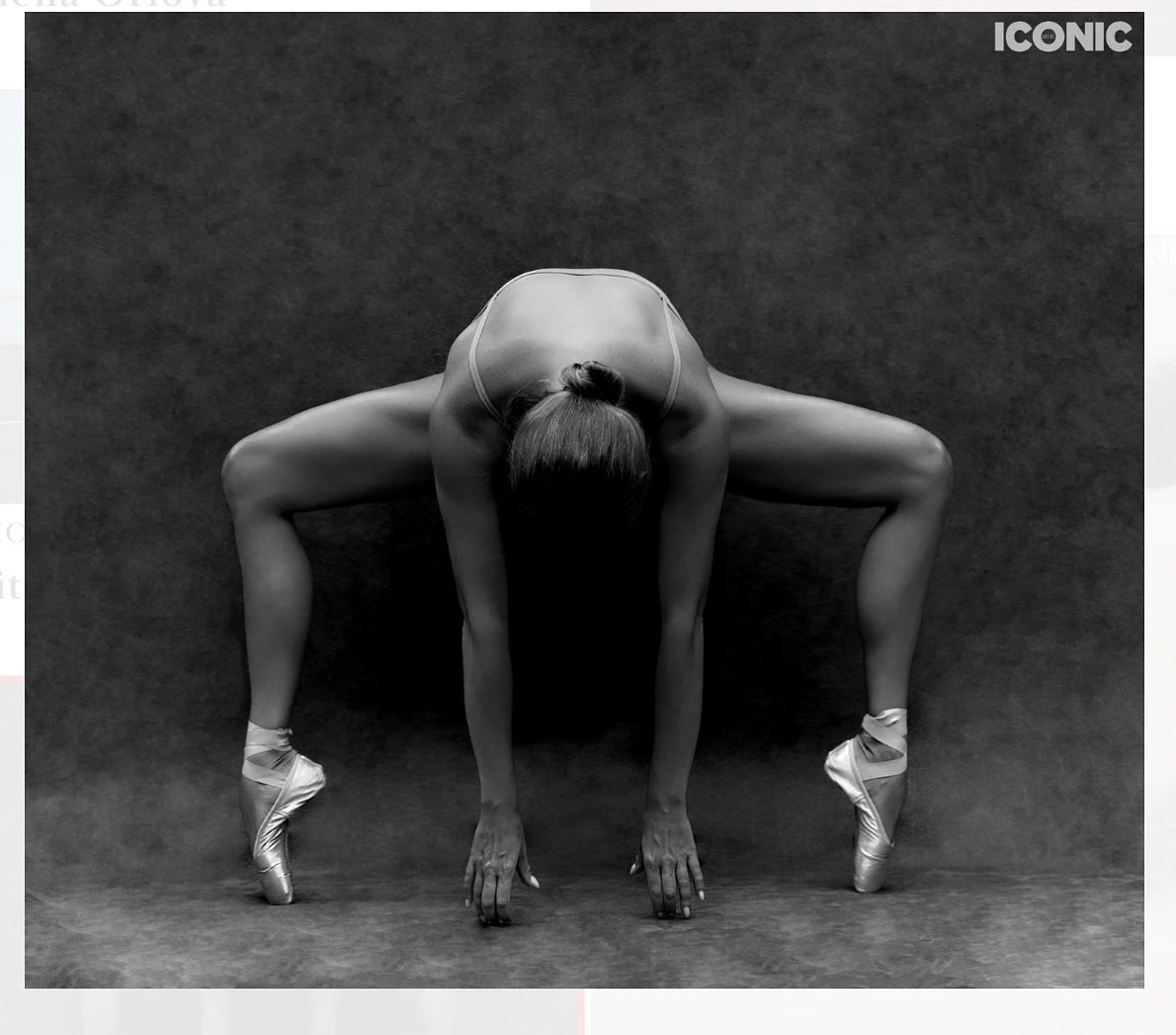 Iconic 2024-2025. Art Рhotographer Russia/Moscow