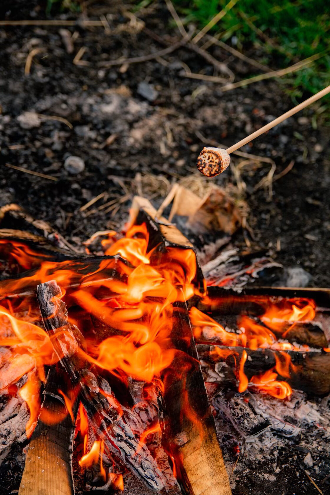 Дмитрий и Татьяна. Фотограф Алёна Царькова. Киселевск
