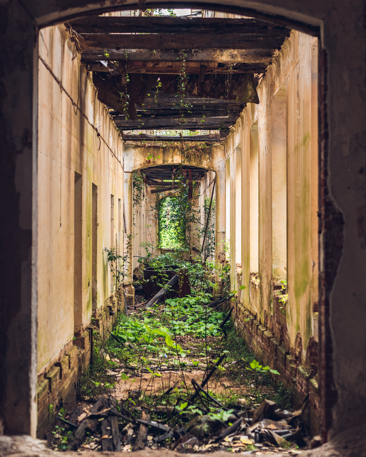 Абхазия в объективе: путешествие рекламного фотографа из Гуанчжоу. Коммерческий и предметный фотограф в Гуанчжоу Коваленко Александр