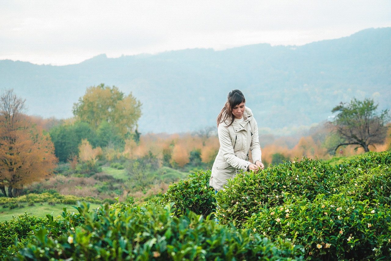 Сочи, я люблю тебя! 💚. Живые снимки! Фотограф Даша Бендер