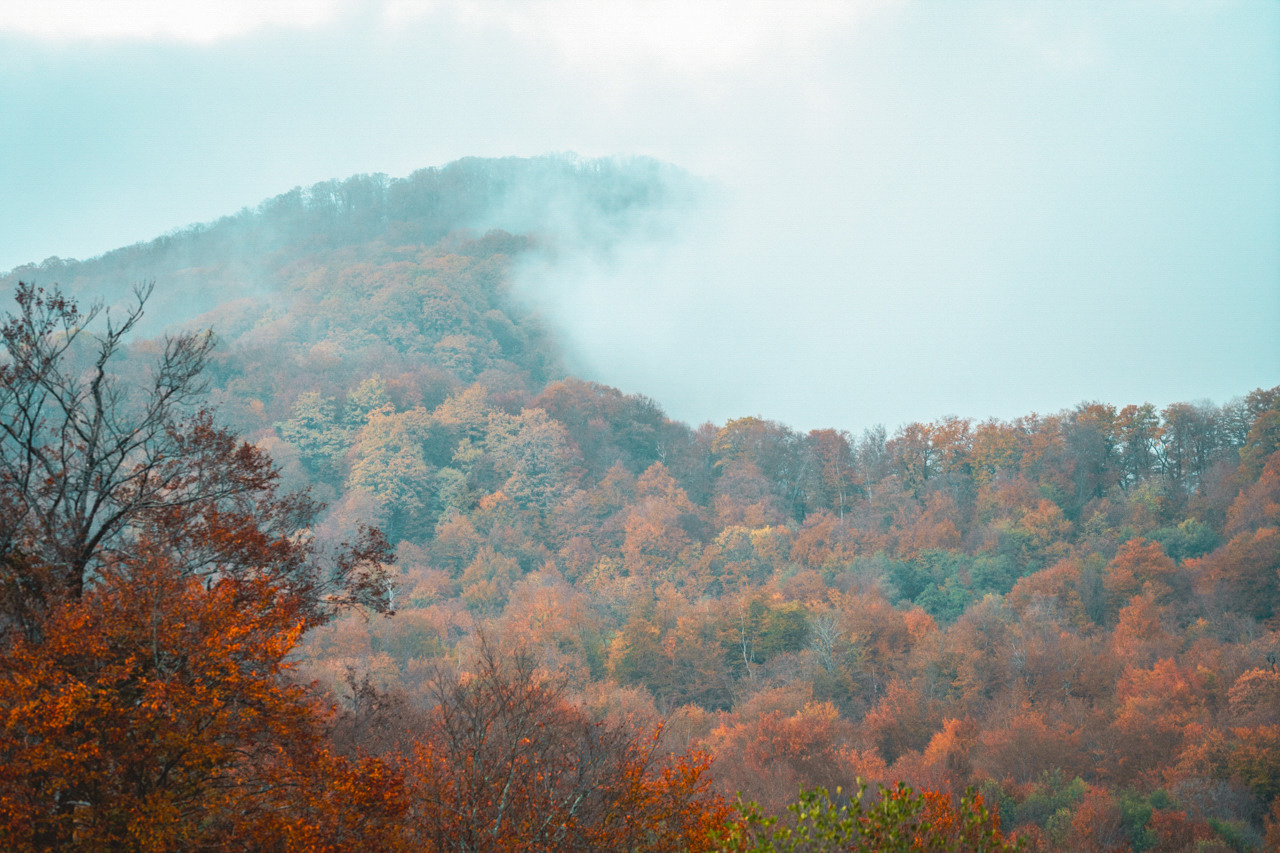 Сочи, я люблю тебя! 💚. Живые снимки! Фотограф Даша Бендер