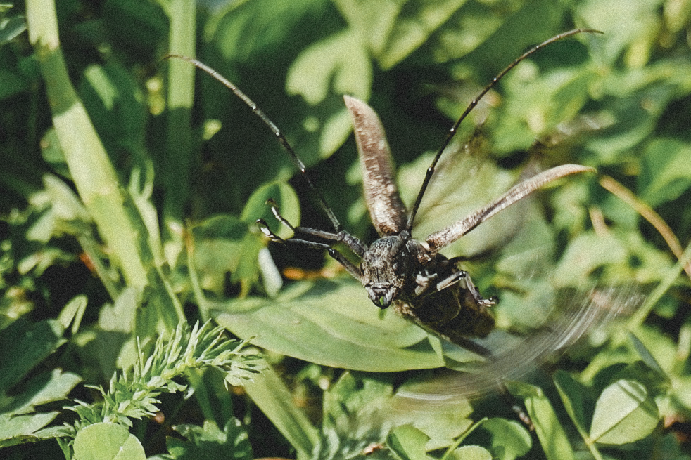 Уличная съемка. Фотограф и оператор Илья Гунбин