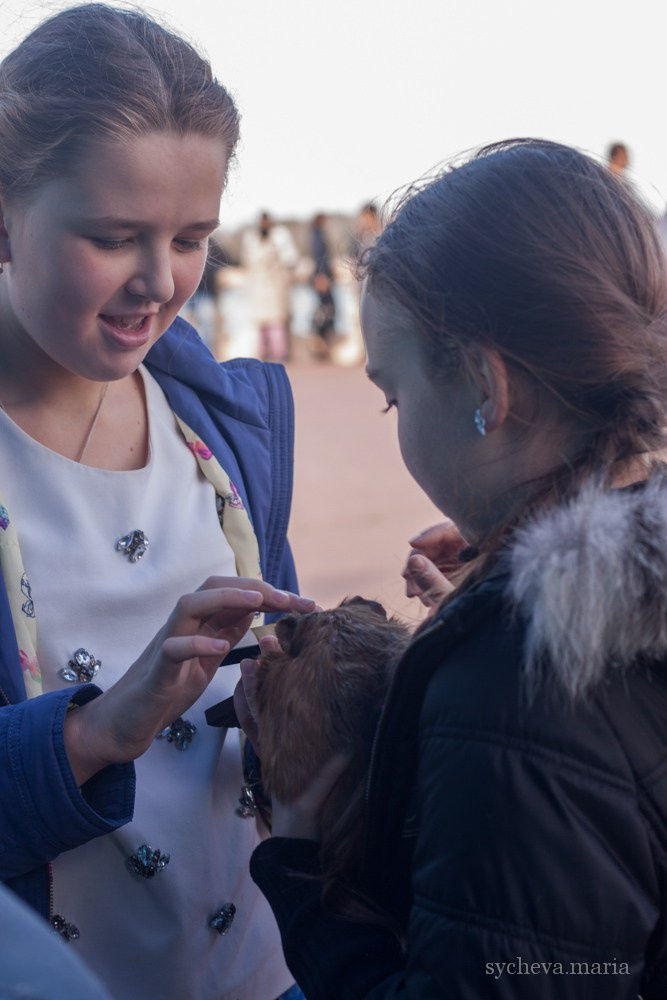 Ярмарка талантов. Детский и семейный фотограф, фотограф мероприятий Нижний Новгород