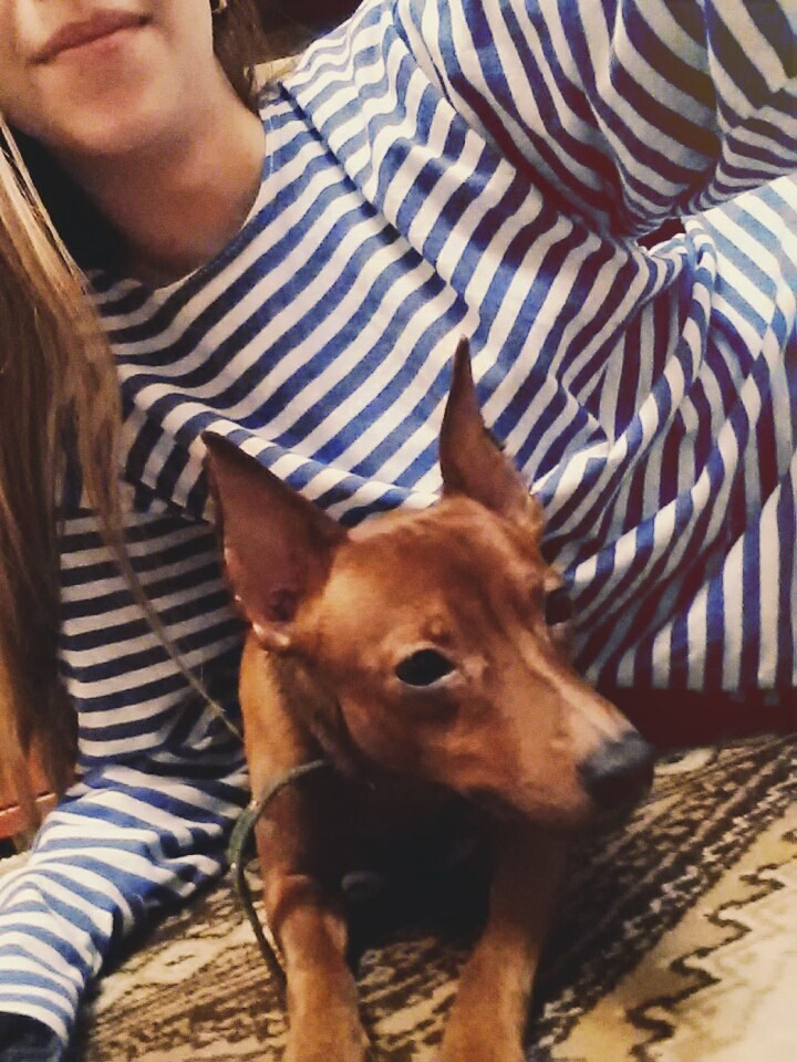 Январь. Семейный, Свадебный фотограф СПБ Питер— Романова Екатерина