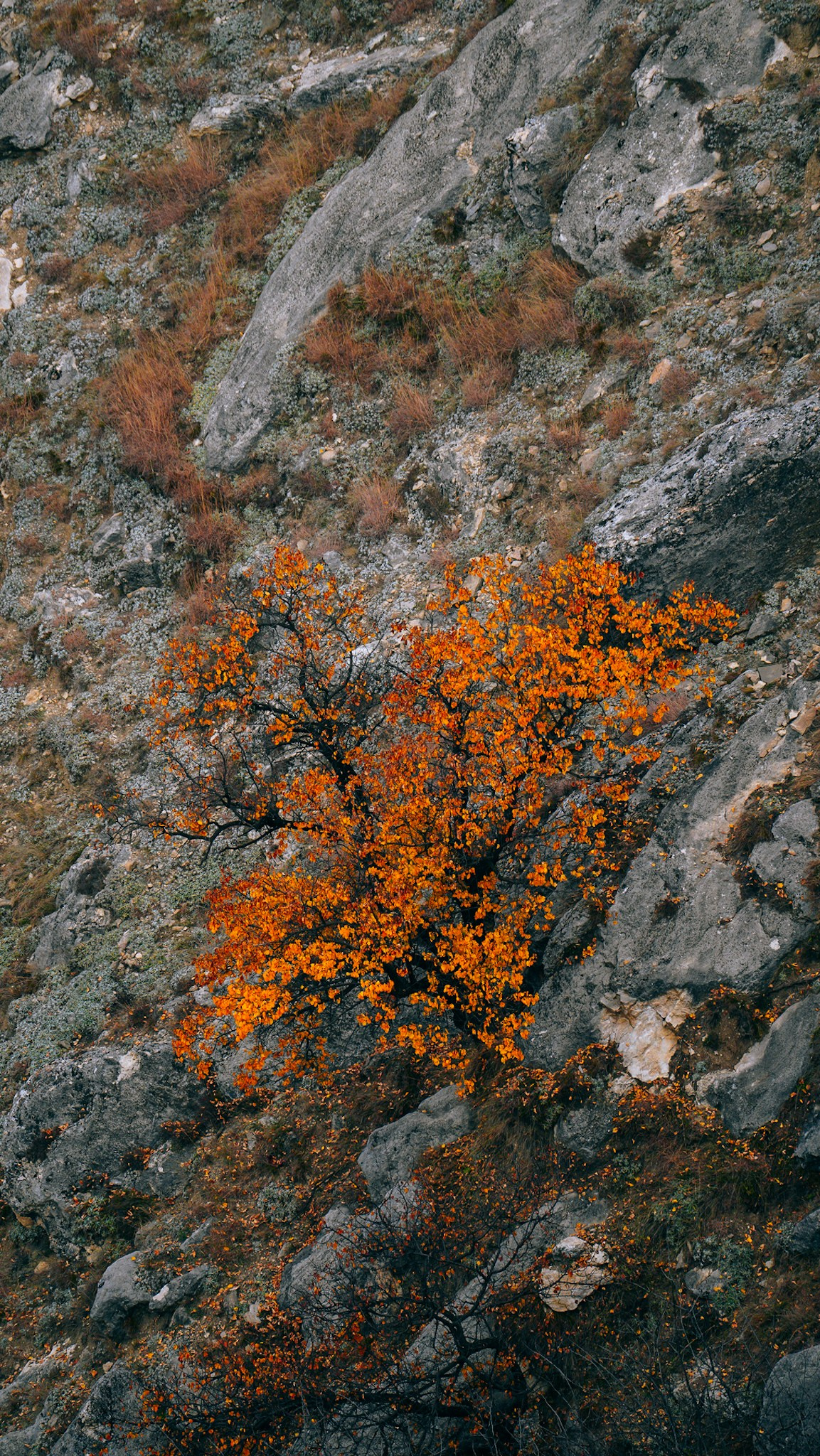 Дагестан 2023. Человек с фотокамерой