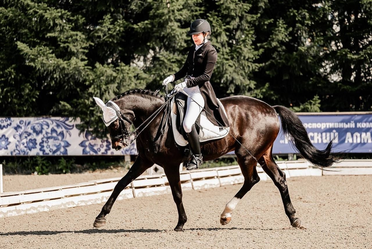 КУБОК по ВЫЕЗДКЕ КСК «РУССКИЙ АЛМАЗ». Конный фотограф Куракина Дарья • Фотосессии с лошадьми