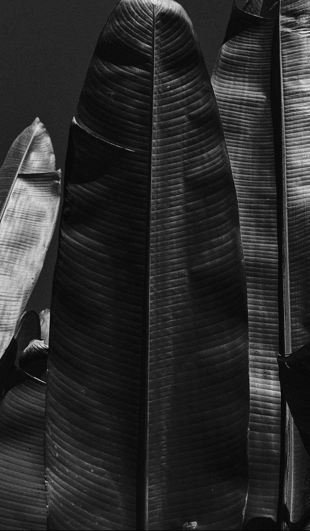 SOMEWHERE. Carolinetru