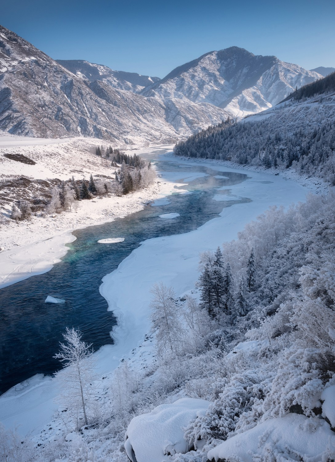 Неподвластная морозам. Река Катунь в среднем течении. Онгудайский район, февраль 2022