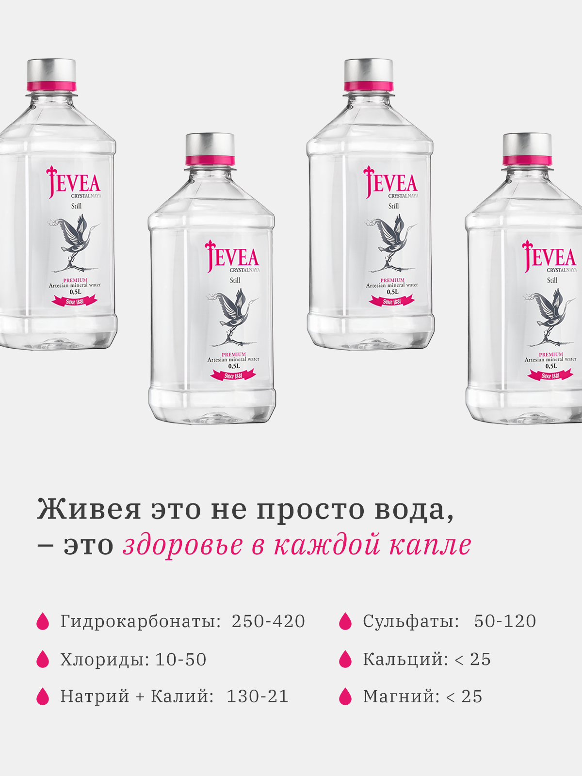 Вода Jevea. Разработка фирменного стиля, брендбука, логотипа (логобука), инфографика для маркетплейсов, Новосибирск