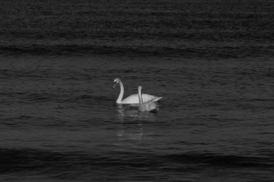 Калининград. Портретный фотограф DanilNabody