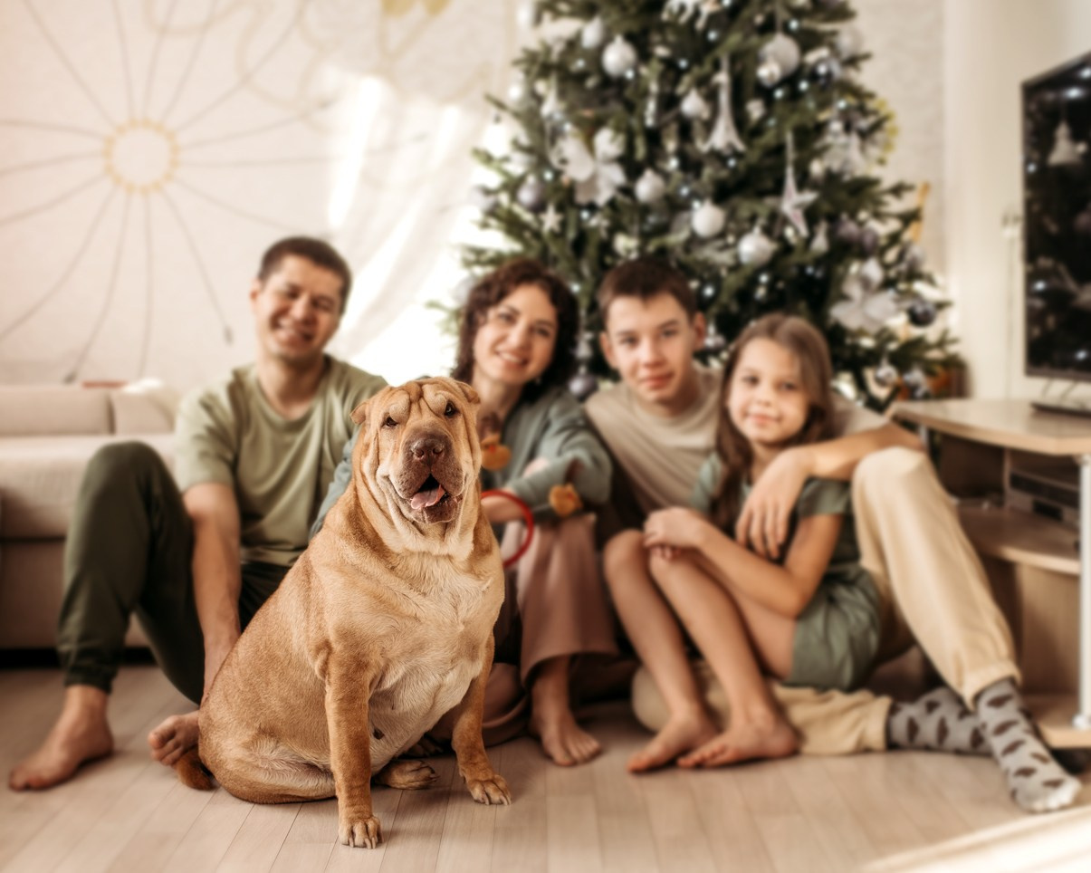 Новогоднее: Оля, Рома, Егор и Лиза. Фотограф г. Хабаровск