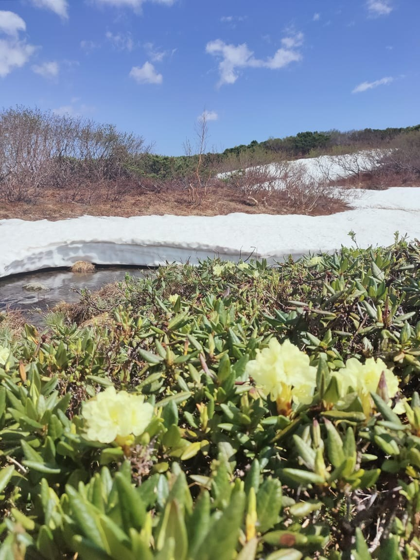 Поход на Голубые озера. Экскурсионные туры по Камчатке