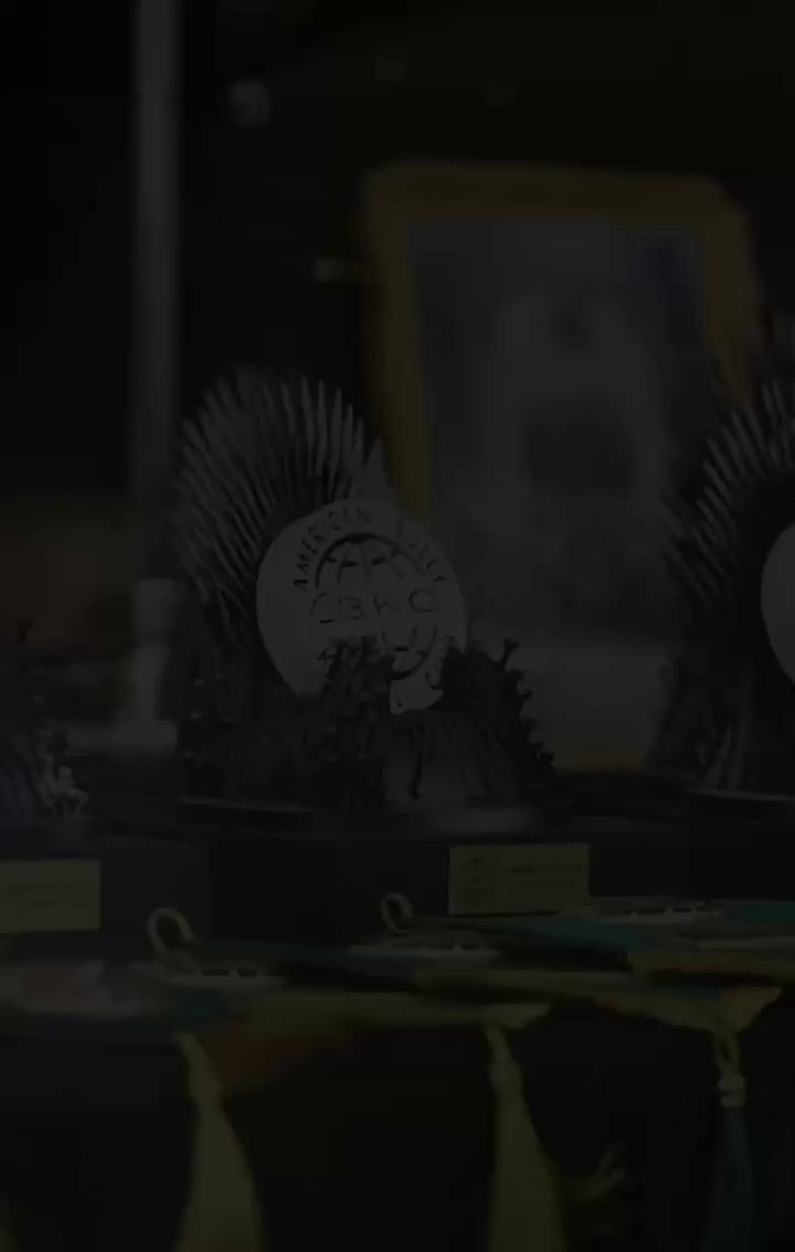 Участие в выставках. Американские булли XL в г. Калининград. Питомник Great Bully UNIVERSE