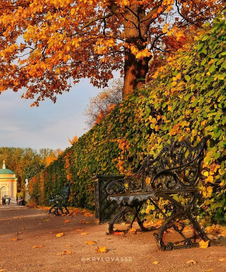 Лучшие места для осенней фотосессии в Москве: идеи и образы для идеаль. Профессиональный фотограф в Москве. Елена Шуваева