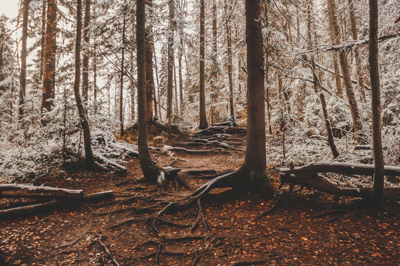 Усьвенкие столбы