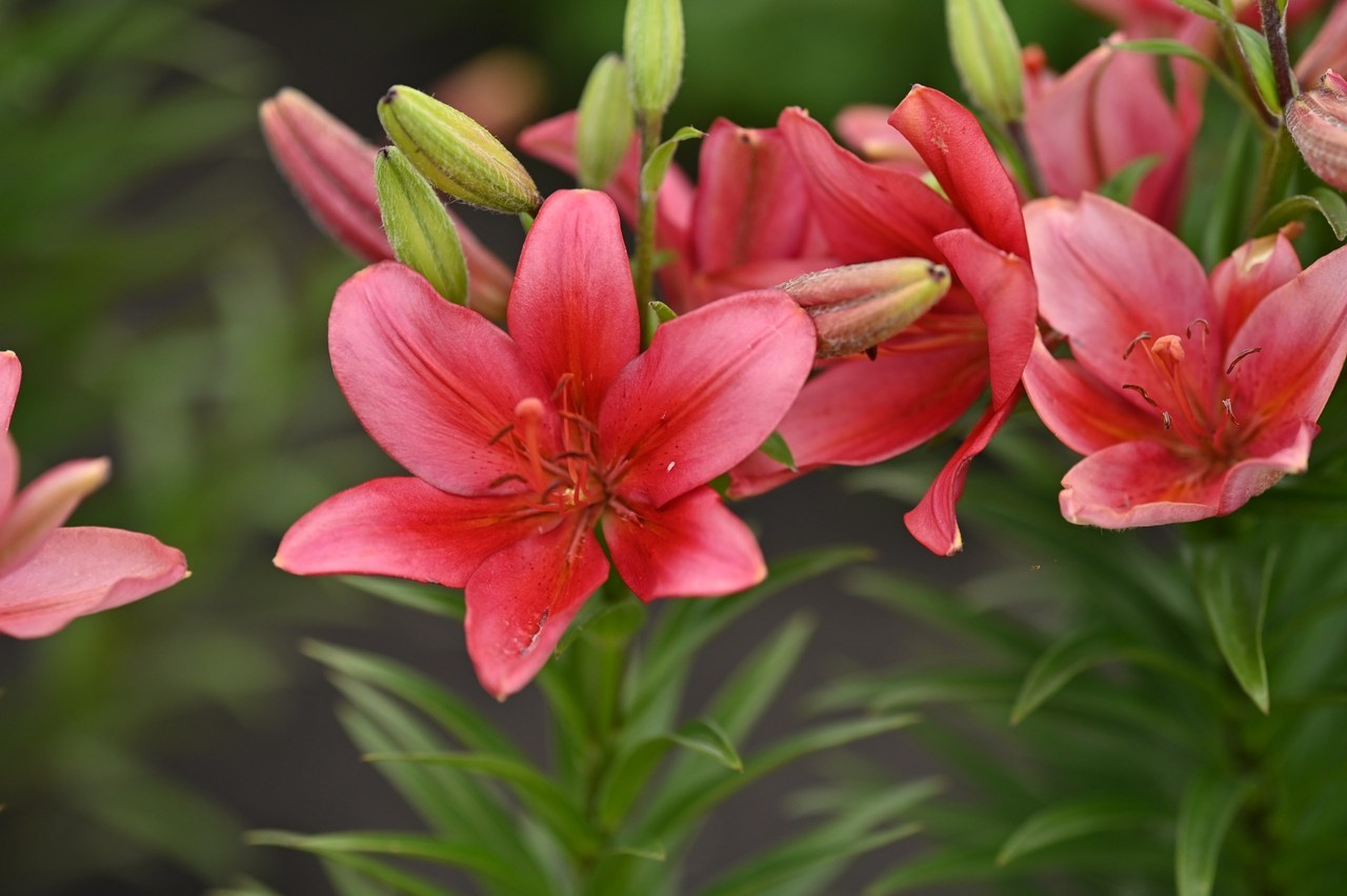 Отзывы. Фотограф Духина Наташа