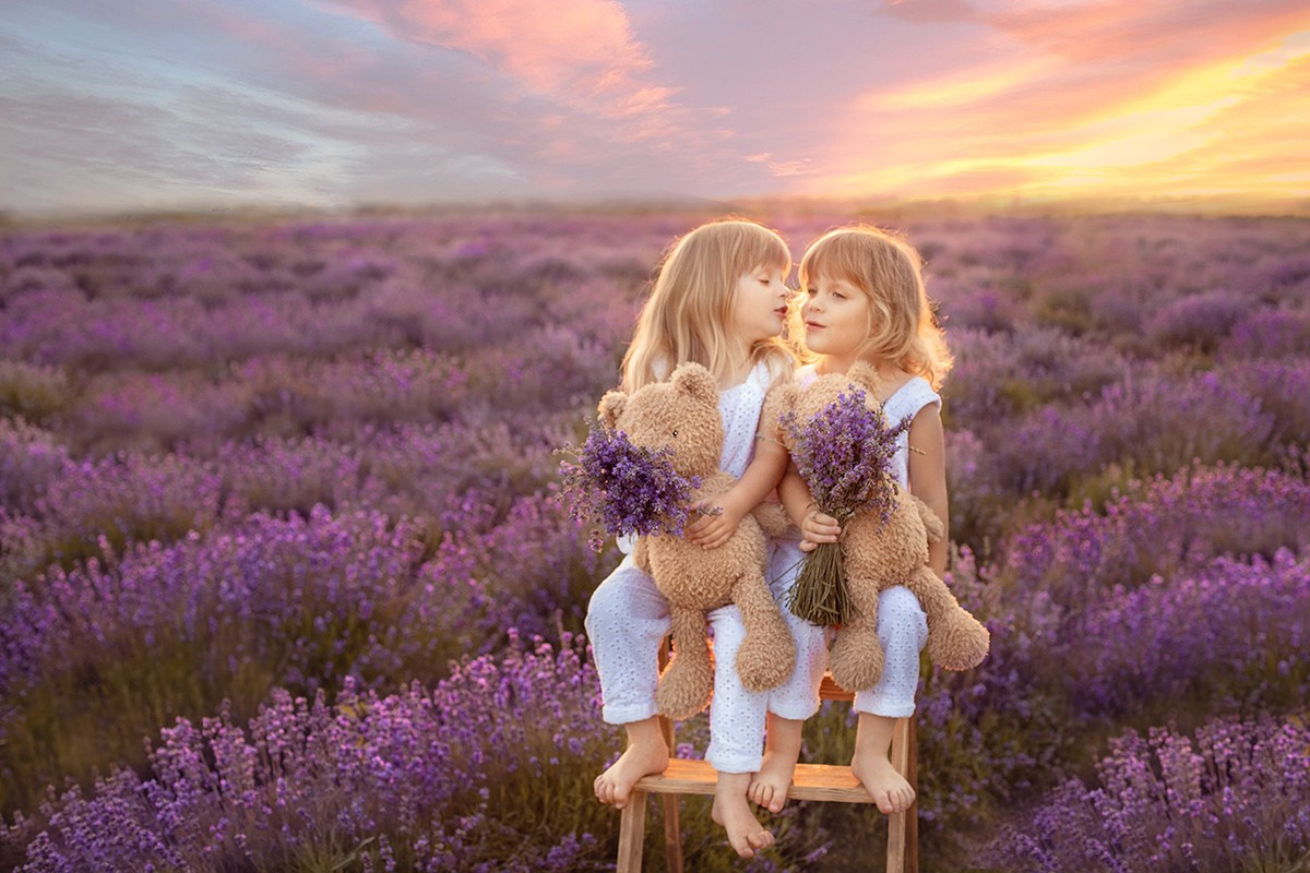 Лавандовые поля. Фотограф в Волгодонске Елена Орешкина