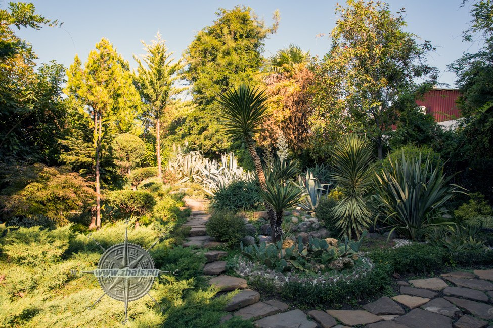 КРАСИВЫЕ МЕСТА В СОЧИ. Свадебный и семейный фотограф/видеограф в Краснодаре Наталья Осинская