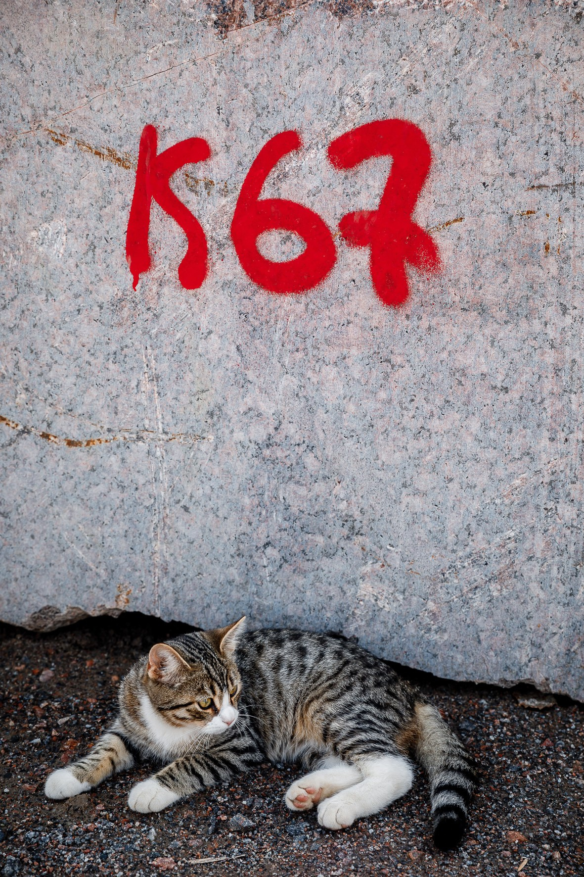 КАРЬЕР2. Фотограф в Петрозаводске Игорь Герасименко