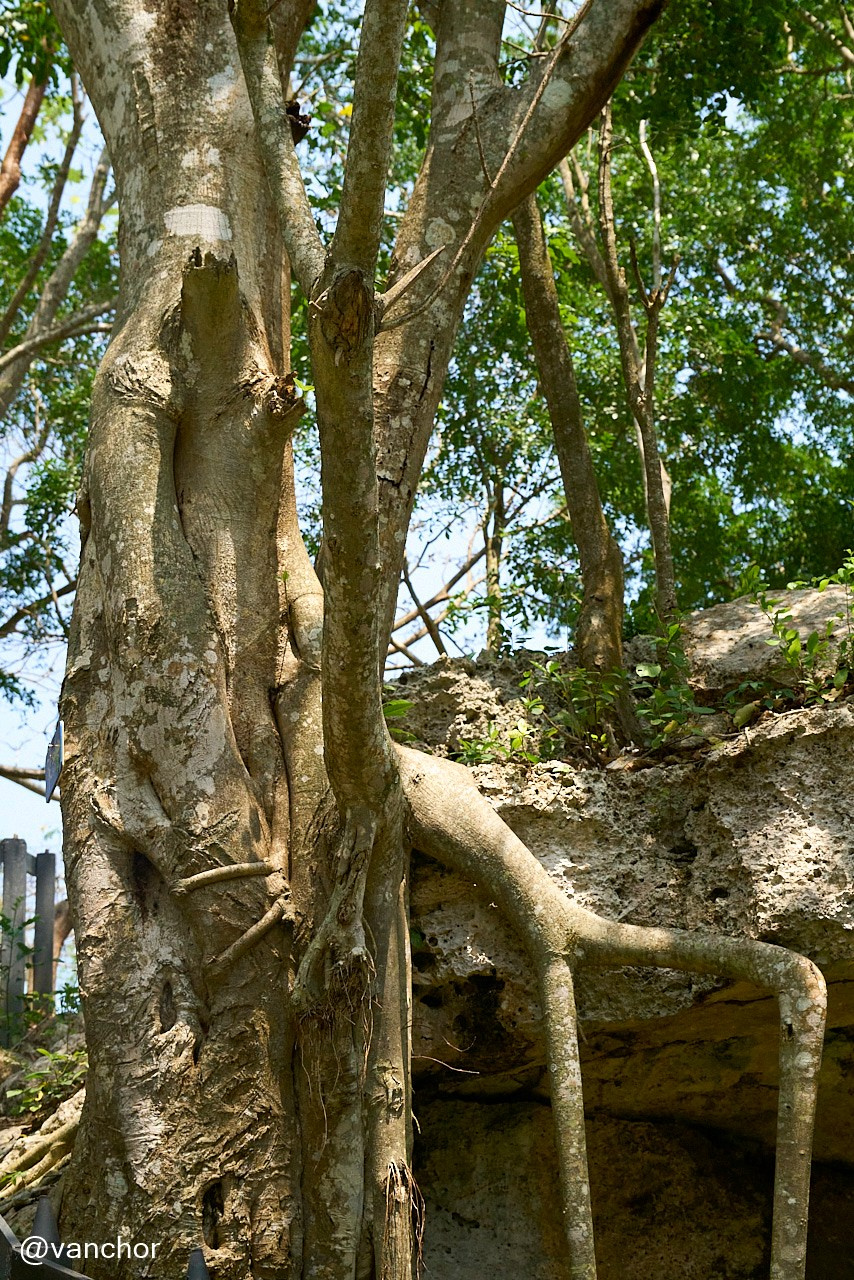 Кубинские зарисовки. Объектив бродяги