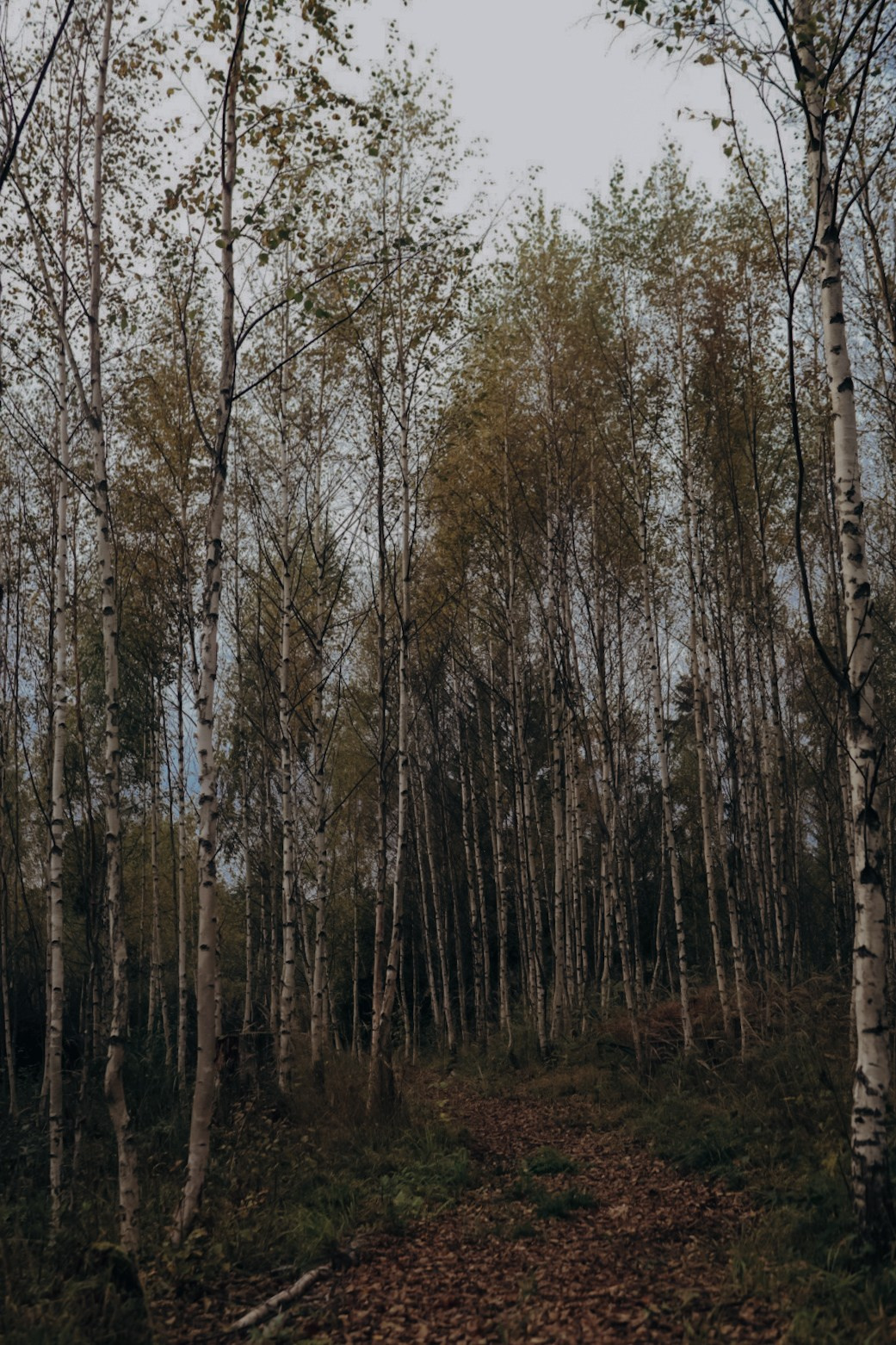 KAMNI CAMP. Фотограф в Санкт-Петербурге Ангелина Вражевская