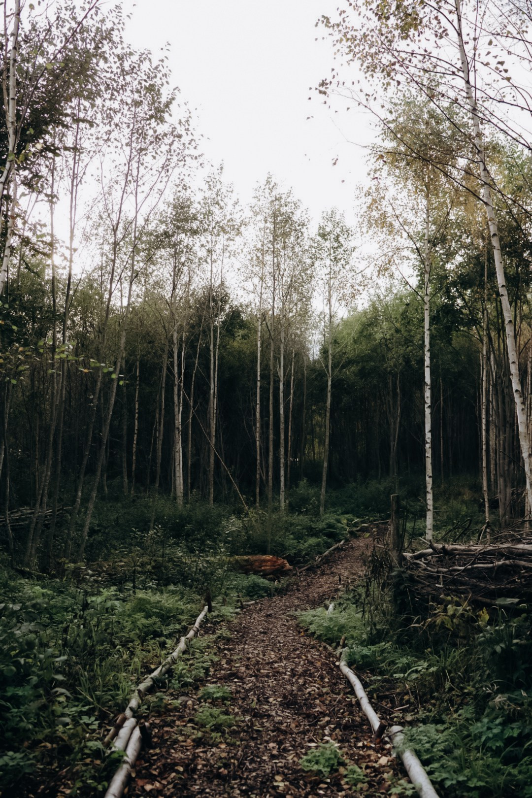 KAMNI CAMP. Фотограф в Санкт-Петербурге Ангелина Вражевская