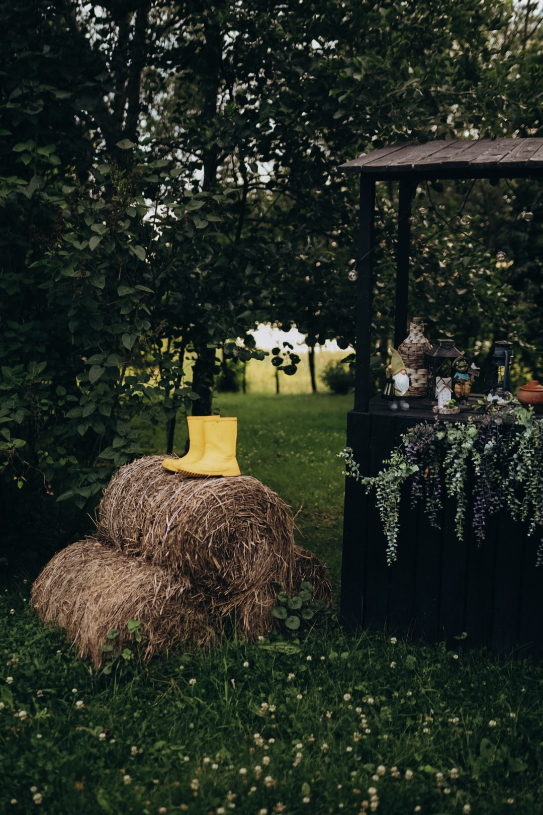 VYBORGBAY. Фотограф в Санкт-Петербурге Ангелина Вражевская