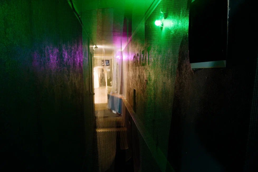 Пороги. Елизавета Иванова — независимый куратор, культуролог, исследователь художественных практик, художник