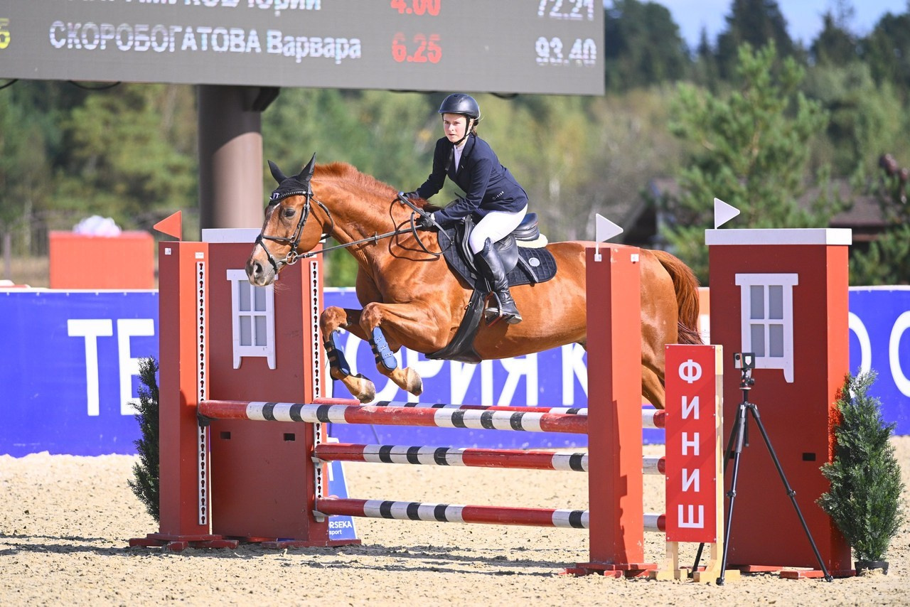 Отзывы. ТУРНИРНАЯ КОННАЯ ФОТОГРАФИЯ, Руднева Ольга и Евгений Адеев