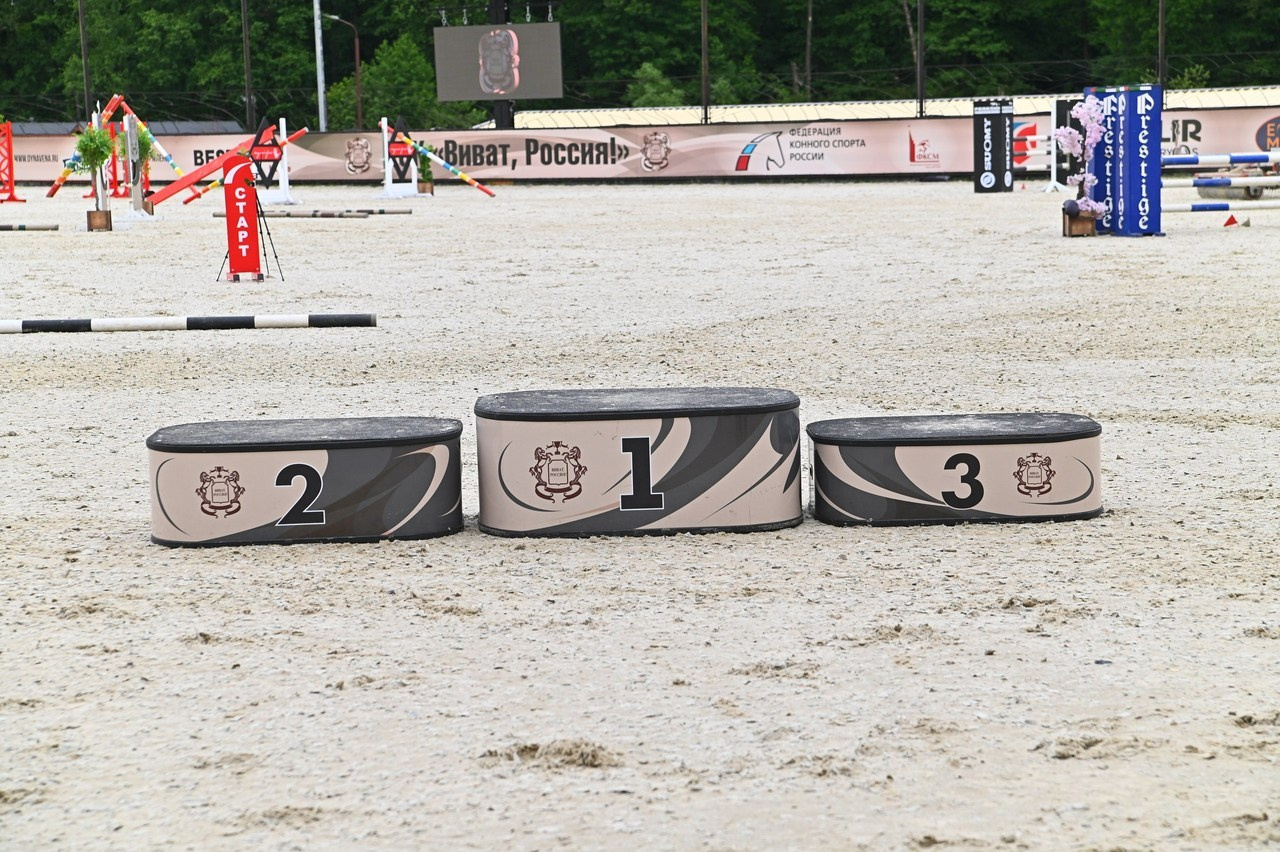 Отзывы. ТУРНИРНАЯ КОННАЯ ФОТОГРАФИЯ, Руднева Ольга и Евгений Адеев