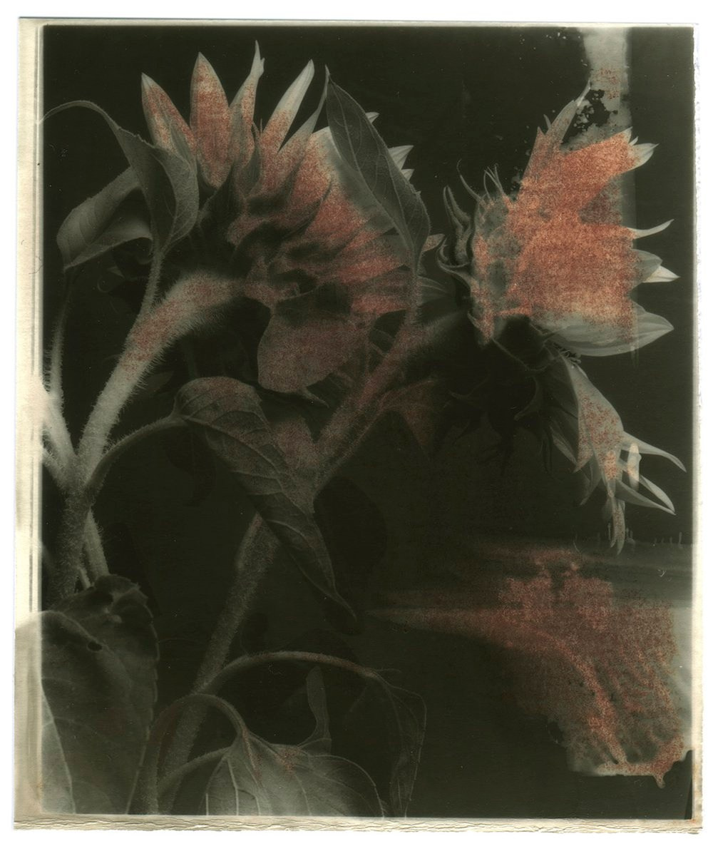 Книга Вика Бакина (Vic Bákin) «Epitome». Private image