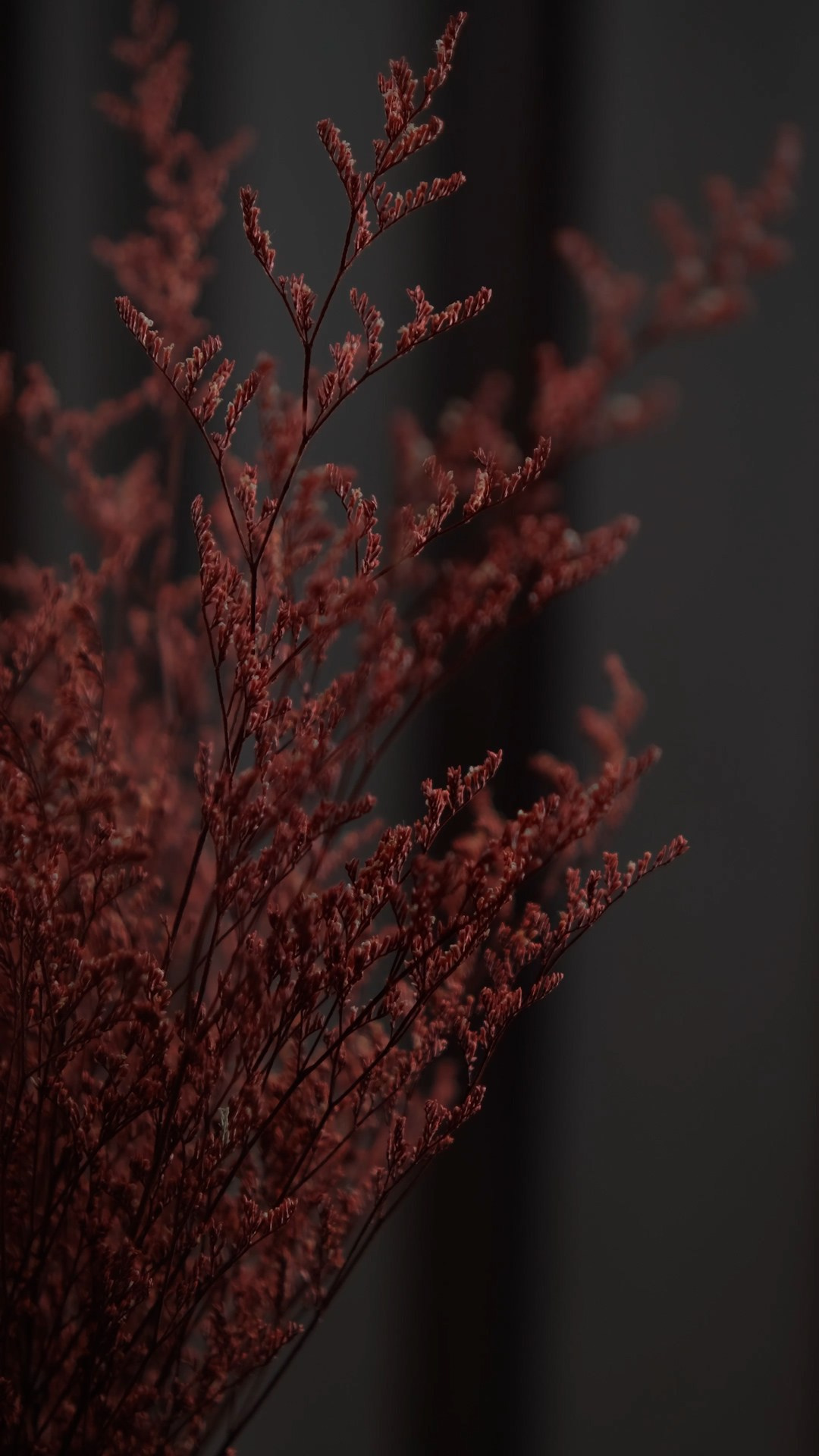 Видеосъемка для бизнеса