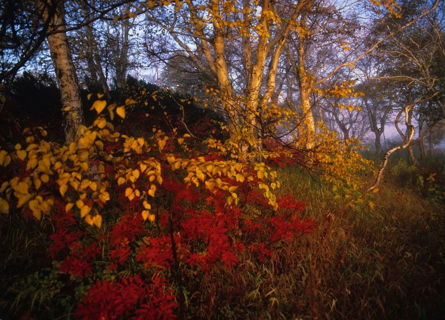 Камчатка. Кальдера Узон. ВАДИМ ГИППЕНРЕЙТЕР — ВЕЛИКИЙ ФОТОГРАФ ЗЕМЛИ РУССКОЙ
