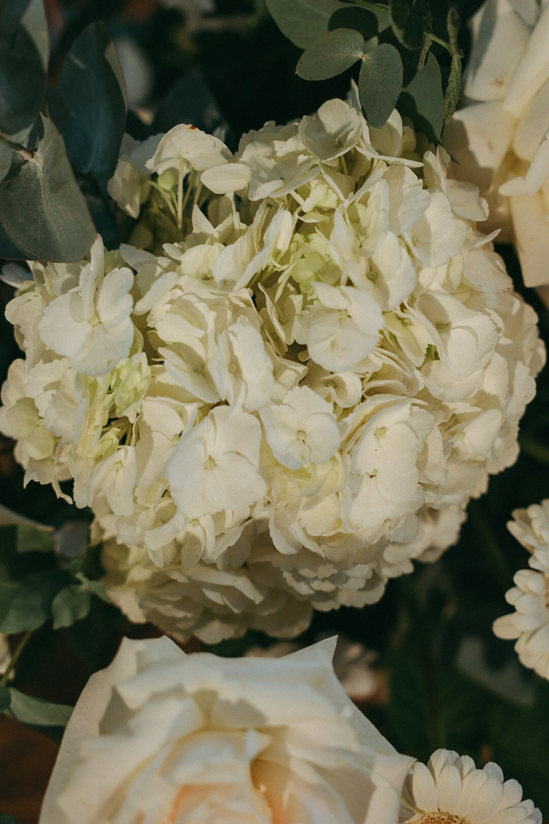 Слава и Настя. Фотограф Нижний Новгород