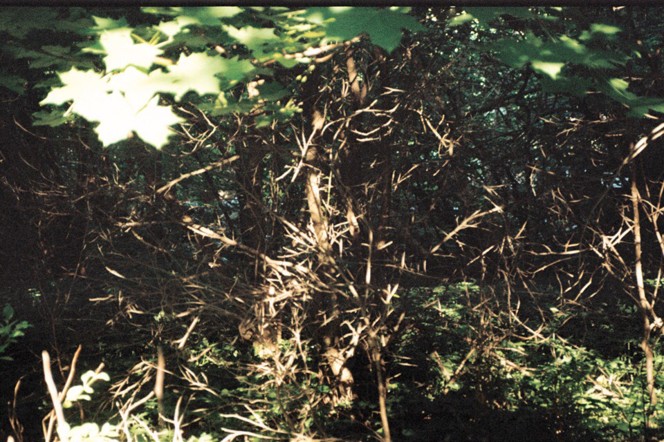 Автор: Степан Завизион