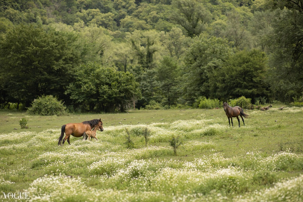 Публикации. Детский и семейный фотограф в Твери Ольга Крестьянинова