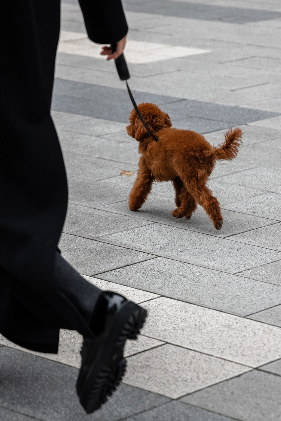 Прогулки. By Twins — фото и видео объединение в Санкт-Петербруге, Москве и Сочи