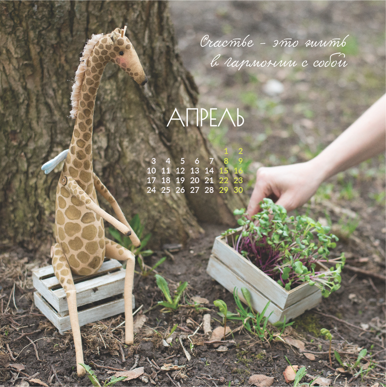 Календарь 2023. Фотограф-портретист в Москве и Зеленограде Наташа Лев